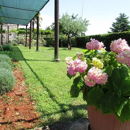Guest house Paliska House With Umag